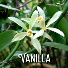 Load image into Gallery viewer, Organic CannaConfectioner ~ chocolate bar ~ 500mg