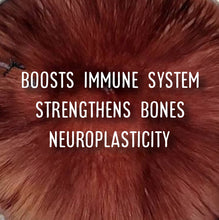 Load image into Gallery viewer, Organic CannaConfectioner ~ dark chocolate microdose mushroom bar