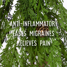 Load image into Gallery viewer, McC Organic ~ essential oil & crystal roller ~ neuropathy