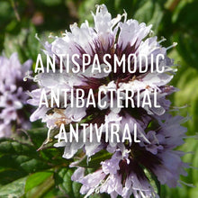 Load image into Gallery viewer, Organic CannaConfectioner ~ chocolate bar ~ 500mg