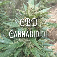 Load image into Gallery viewer, McC Organic ~ high cbd tea kombucha