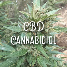 Load image into Gallery viewer, McC Organic ~ essential oil & crystal roller ~ neuropathy