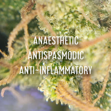 Load image into Gallery viewer, McC Organic ~ high cbd tea kombucha