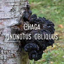 Load image into Gallery viewer, McC Organic ~ sea moss gel