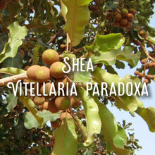 Load image into Gallery viewer, Rorephantom ~ full spectrum pain relief balm