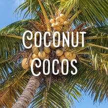 Load image into Gallery viewer, Rorephantom ~ full spectrum pain relief balm