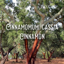 Load image into Gallery viewer, McC Organic ~ mulled honey