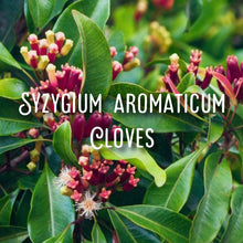 Load image into Gallery viewer, McC Organic ~ natural toothpaste