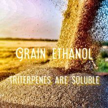 Load image into Gallery viewer, Yew Grove Apothecary ~ reishi tincture