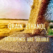 Load image into Gallery viewer, Yew Grove Apothecary ~ turkey tail tincture