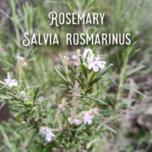 Load image into Gallery viewer, McC Organic ~ essential oil & crystal roller ~ mood boost