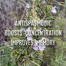 Load image into Gallery viewer, McC Organic ~ essential oil & crystal roller ~ mood boost