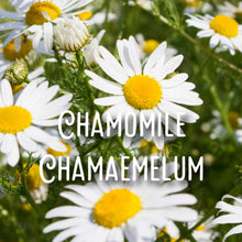 Load image into Gallery viewer, McC Organic ~ essential oil & crystal roller ~ migraine relief