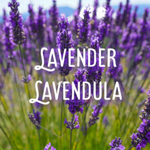 Load image into Gallery viewer, McC Organic ~ essential oil & crystal roller ~ anti anxiety