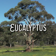 Load image into Gallery viewer, McC Organic ~ essential oil & crystal roller ~ migraine relief