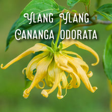 Load image into Gallery viewer, McC Organic ~ essential oil & crystal roller ~ anti anxiety