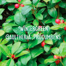 Load image into Gallery viewer, McC Organic ~ essential oil roller ~ pain relief