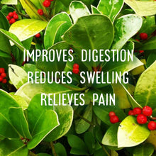 Load image into Gallery viewer, McC Organic ~ essential oil roller ~ pain relief