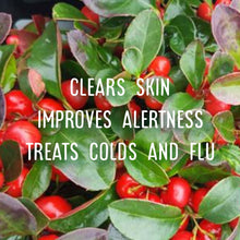 Load image into Gallery viewer, McC Organic ~ essential oil roller ~ pain relief