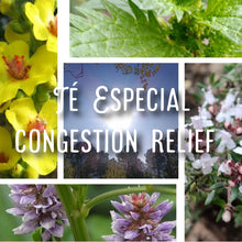 Load image into Gallery viewer, McC Organic ~ Té Especial chest congestion relief
