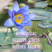 Load image into Gallery viewer, McC Organic ~ lucid dream tea