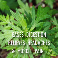 Load image into Gallery viewer, McC Organic ~ lucid dream tea