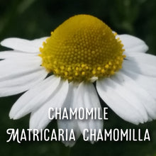 Load image into Gallery viewer, McC Organic ~ lucid dream tea