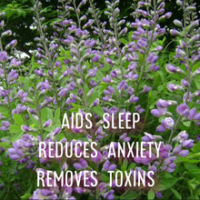 Load image into Gallery viewer, McC Organic ~ lucid dream tea