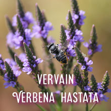 Load image into Gallery viewer, McC Organic ~ lucid dream tea