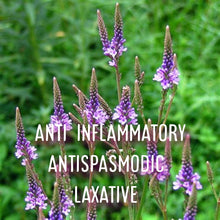 Load image into Gallery viewer, McC Organic ~ lucid dream tea