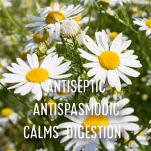 Load image into Gallery viewer, McC Organic ~ lucid dream tea