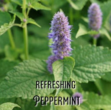 Load image into Gallery viewer, McC Organic ~ natural smoking blend ~ freshen up