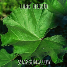 Load image into Gallery viewer, McC Organic ~ natural smoking blend ~ lucid lullaby