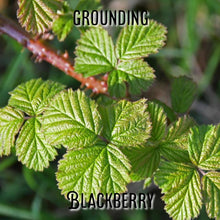 Load image into Gallery viewer, McC Organic ~ natural smoking blend ~ lucid lullaby