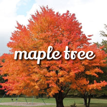 Load image into Gallery viewer, McC Organic ~ infused vanilla kush maple syrup