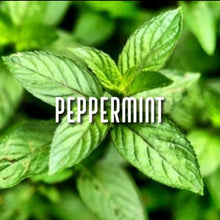 Load image into Gallery viewer, Allergen~Hayfever Care Package