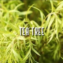 Load image into Gallery viewer, Allergen~Hayfever Care Package