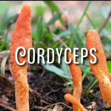 Load image into Gallery viewer, McC Organic mushroom complex 8