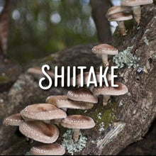 Load image into Gallery viewer, McC Organic mushroom complex 8