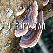 Load image into Gallery viewer, McC Organic mushroom complex 8