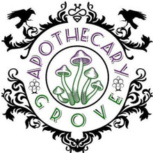 Load image into Gallery viewer, Yew Grove Apothecary ~ mushroom fruit