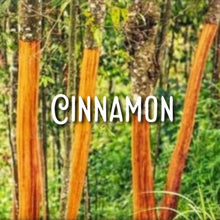 Load image into Gallery viewer, McC Organic ~ orange honey