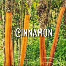 Load image into Gallery viewer, McC Organic ~ natural toothpaste