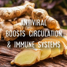 Load image into Gallery viewer, McC Organic ~ infused california orange agave nectar