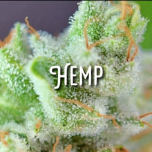 Load image into Gallery viewer, McC Organic ~ infused pine needle honey