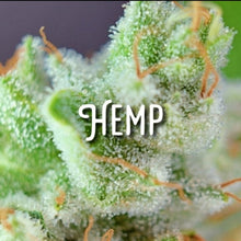 Load image into Gallery viewer, McC Organic ~ infused vanilla kush maple syrup