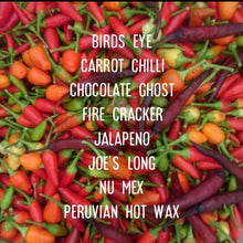 Load image into Gallery viewer, Chilli John ~ dry spice mix