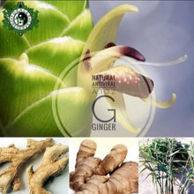 Load image into Gallery viewer, Chilli John ~ dry spice mix