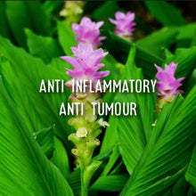 Load image into Gallery viewer, Chilli John ~ dry spice mix