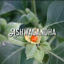 Load image into Gallery viewer, McC Organic ~ ashwagandha capsules